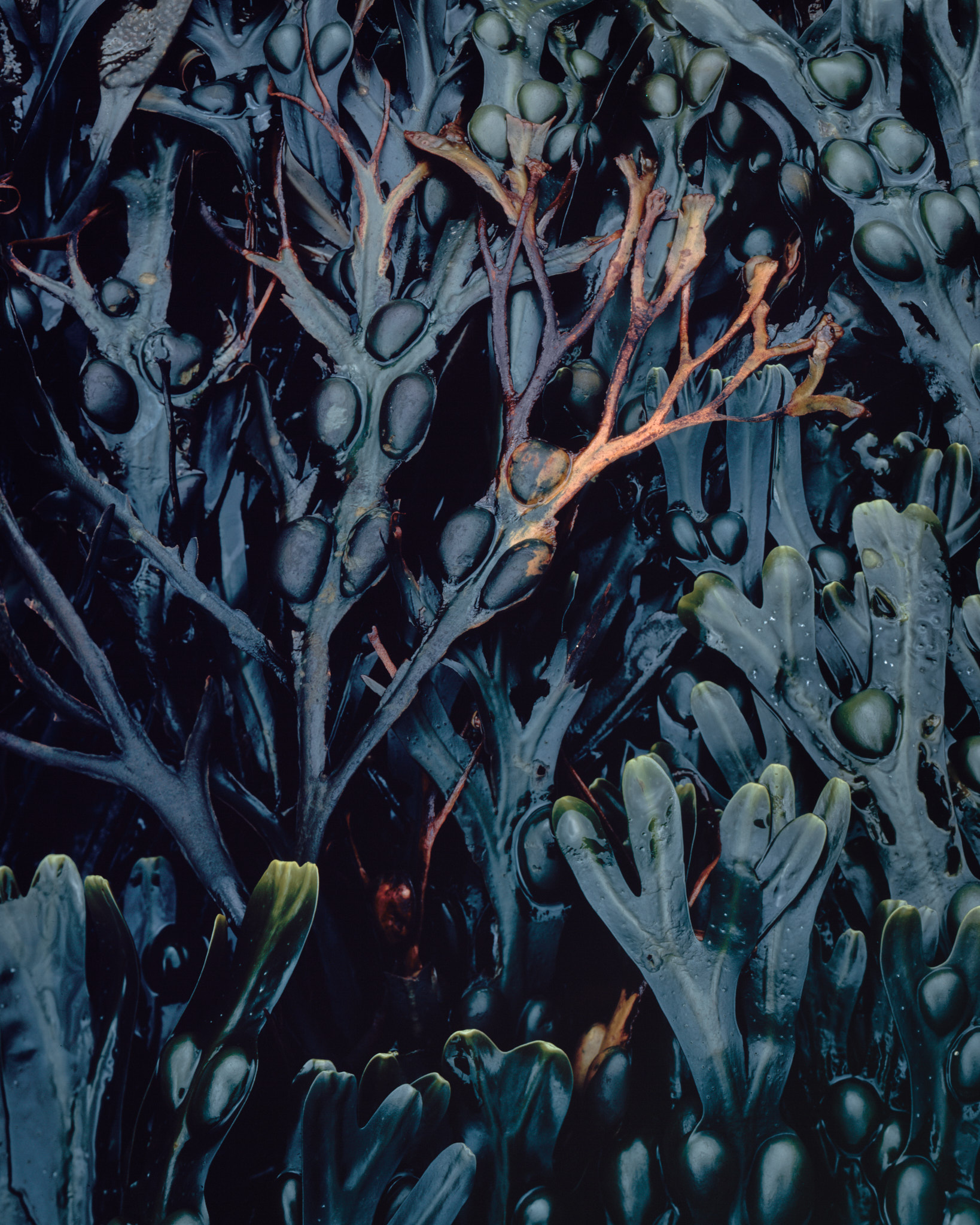 Part III, image 7