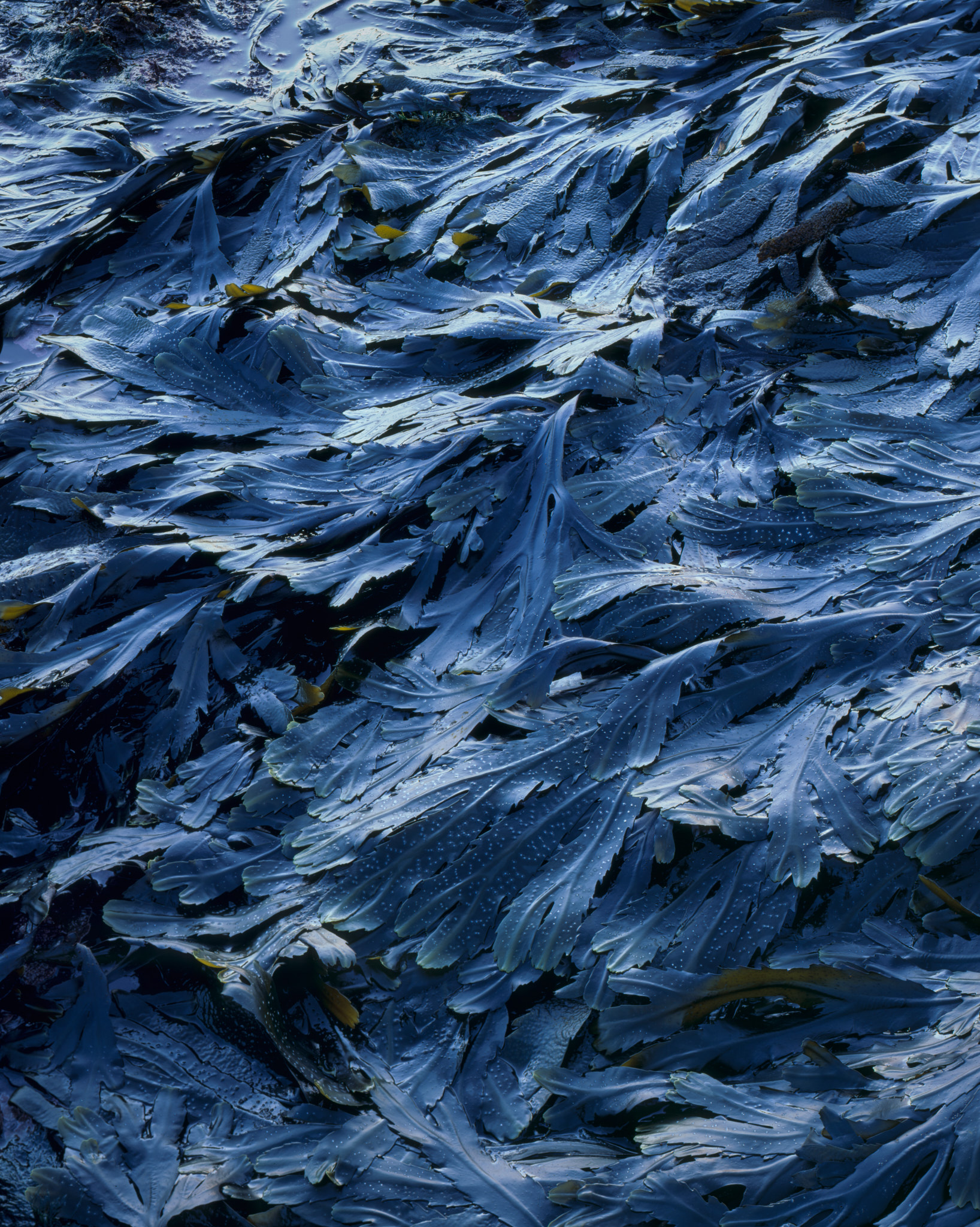 Part III, image 6