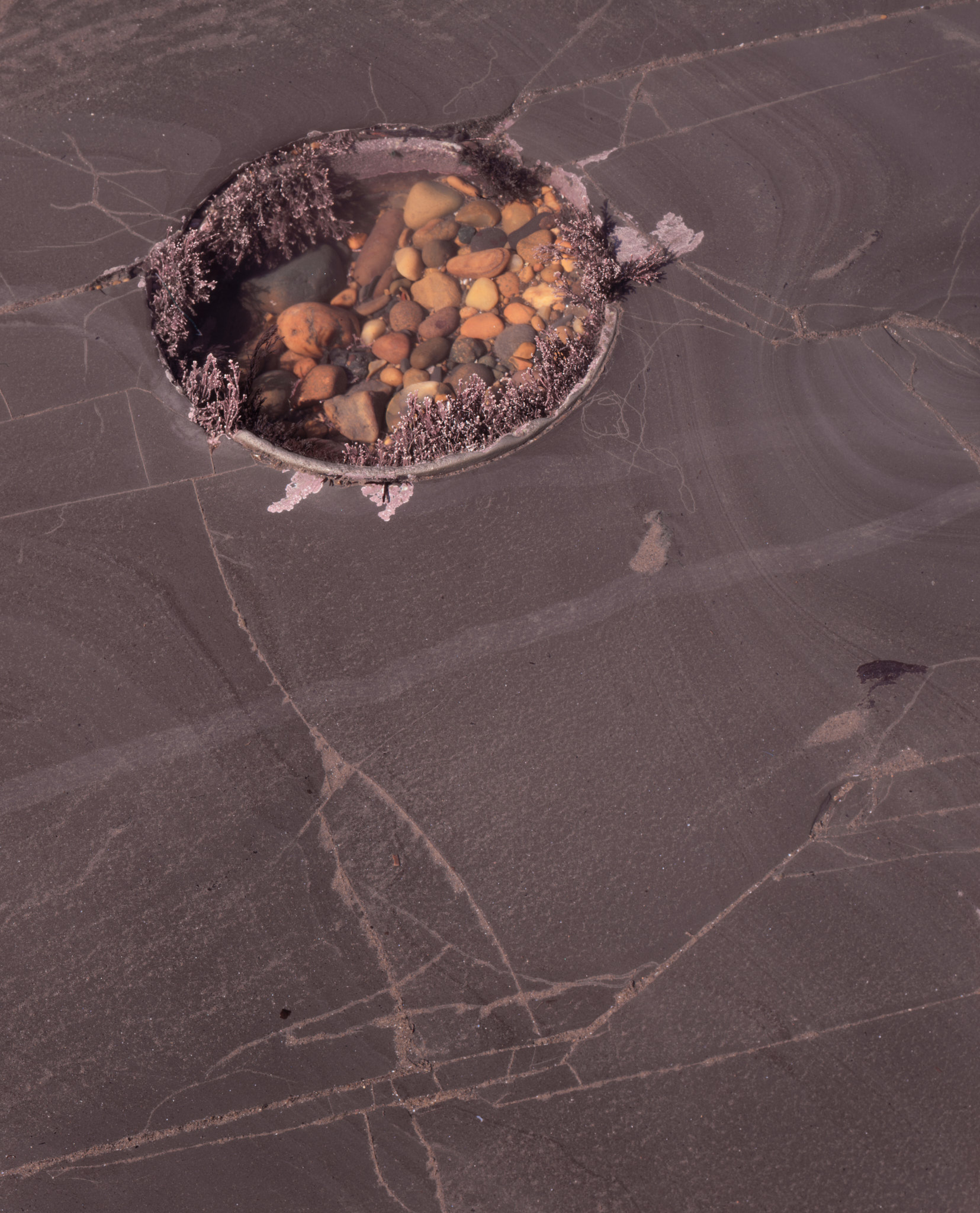 Part II, image 4