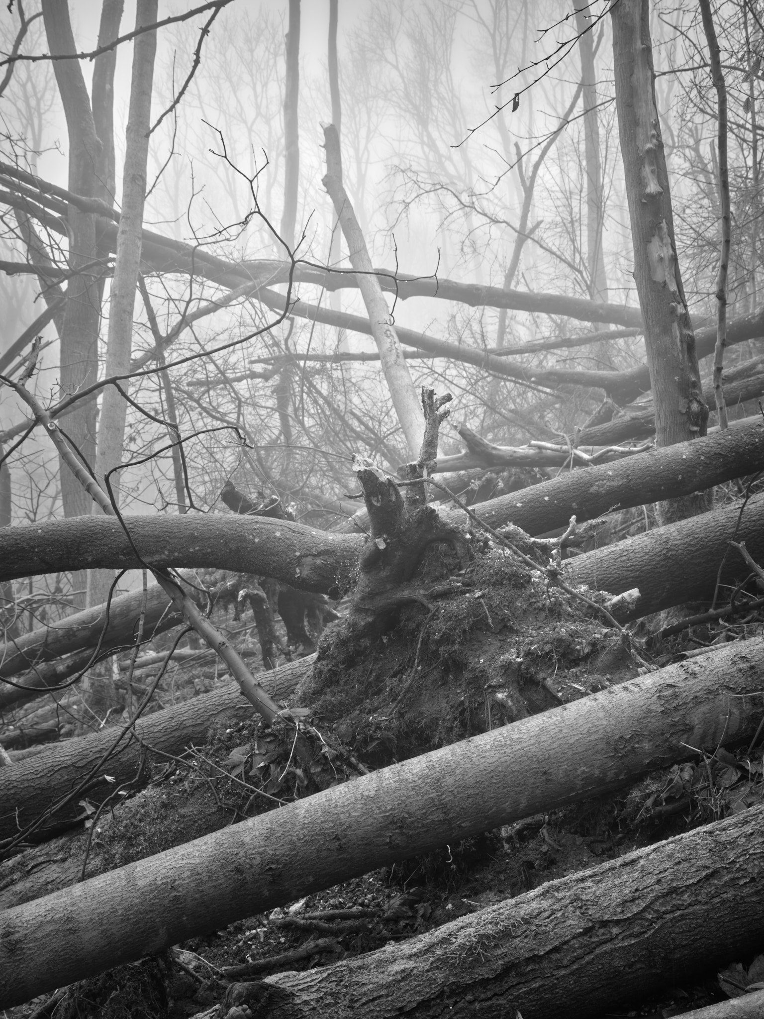 Act II, image 6