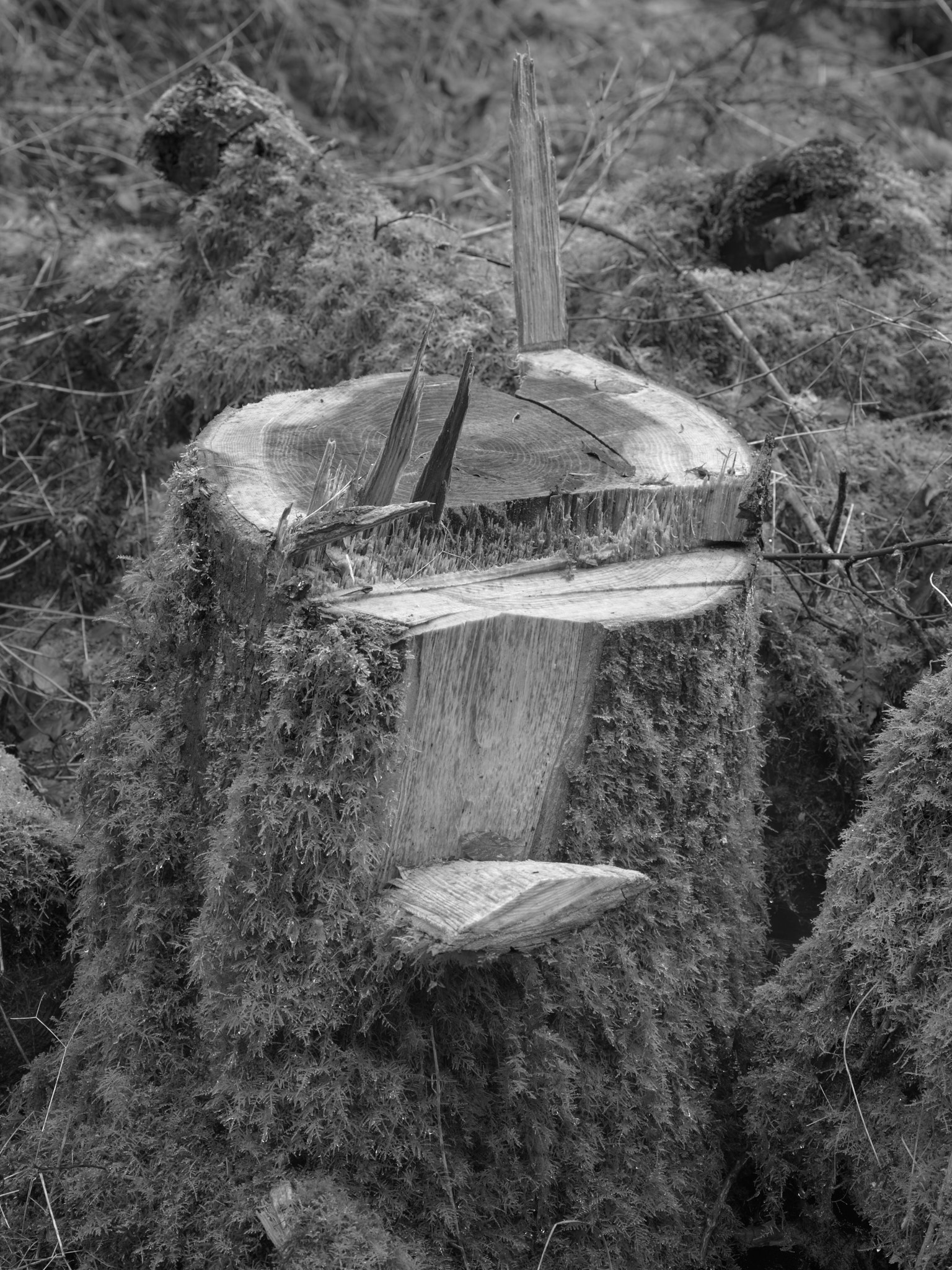 Act II, image 8