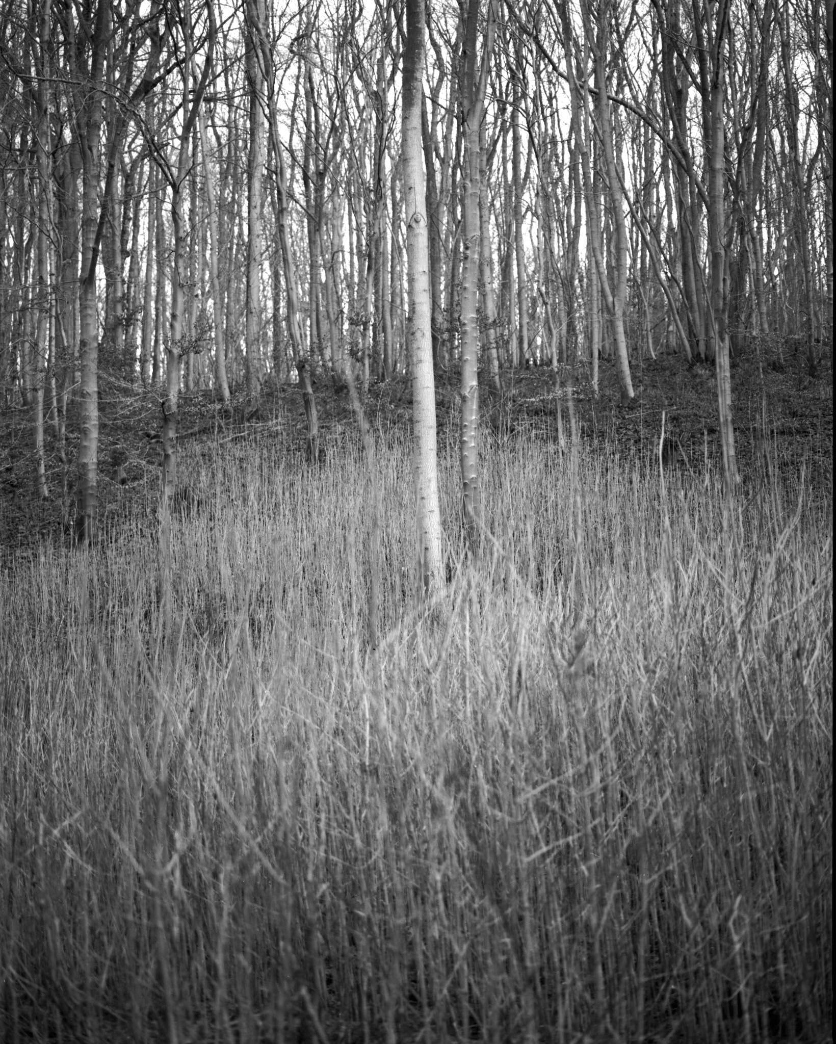 Act I, image 12