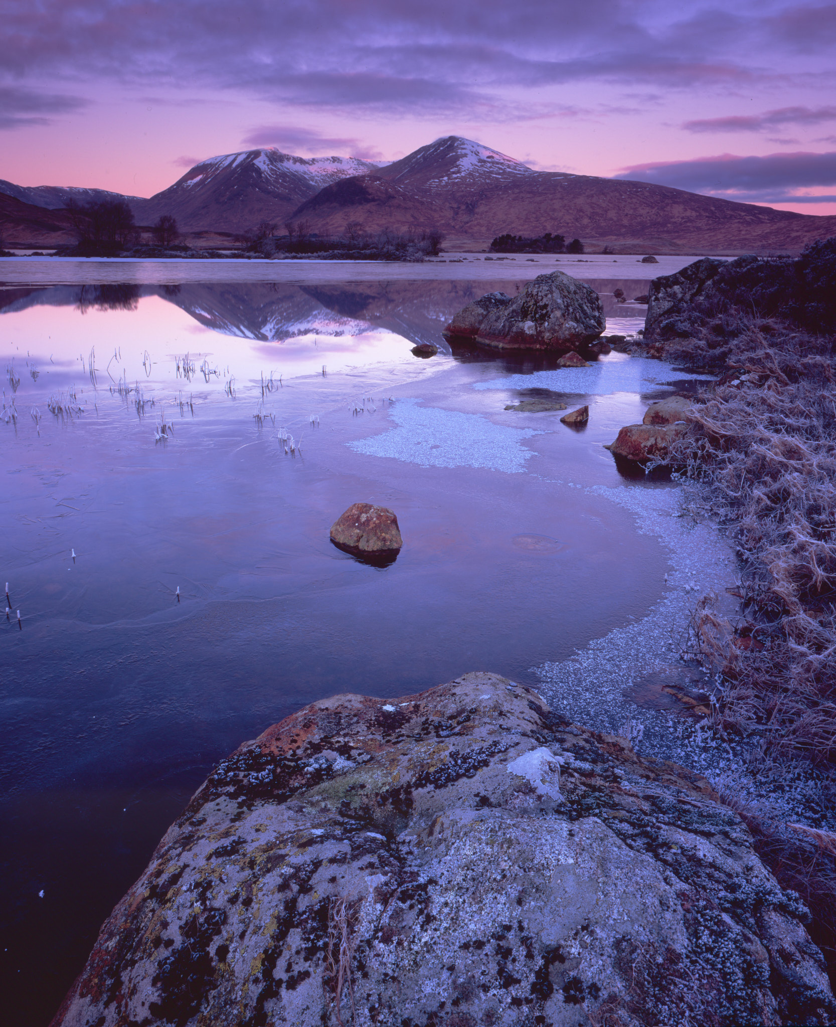 Frozen lochan on Rannoch Moor at dawn, a frosted rock in the foreground and Black Mount under a pink pre-dawn sky