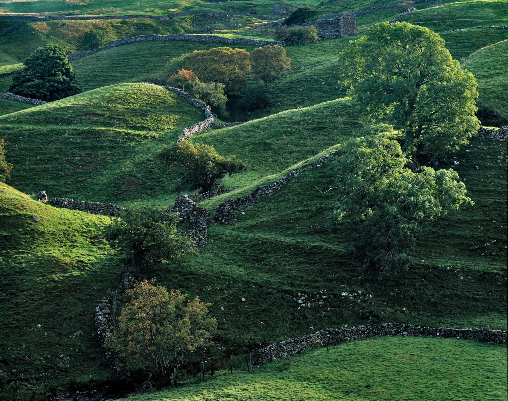 Hillside in the Yorkshire Dales side lit