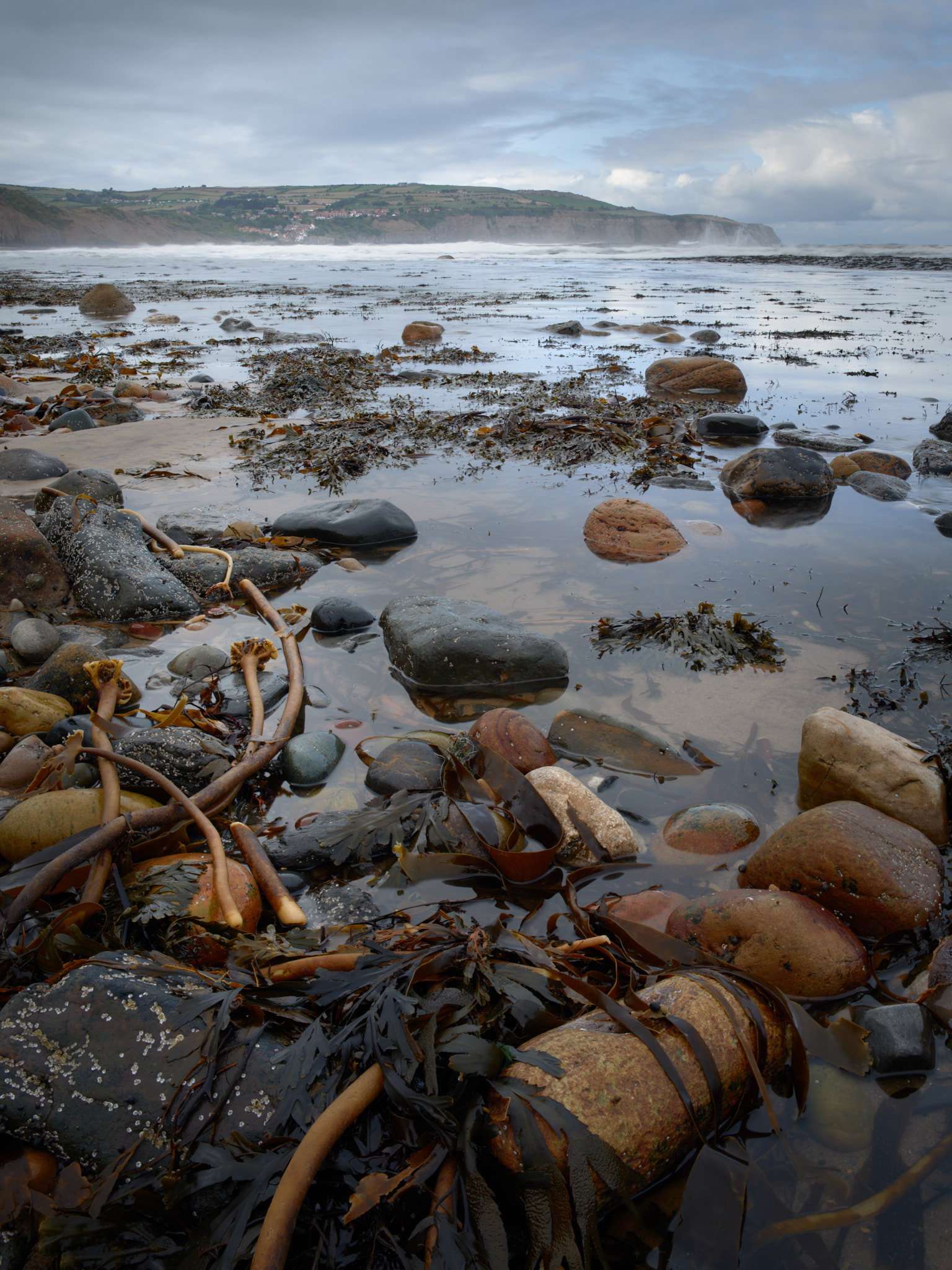 Kelp stalks, boulders and a still pool on the foreshore, looking across the bay to a red-roofed village and a far headland where waves burst against the cliffs, under soft broken cloud