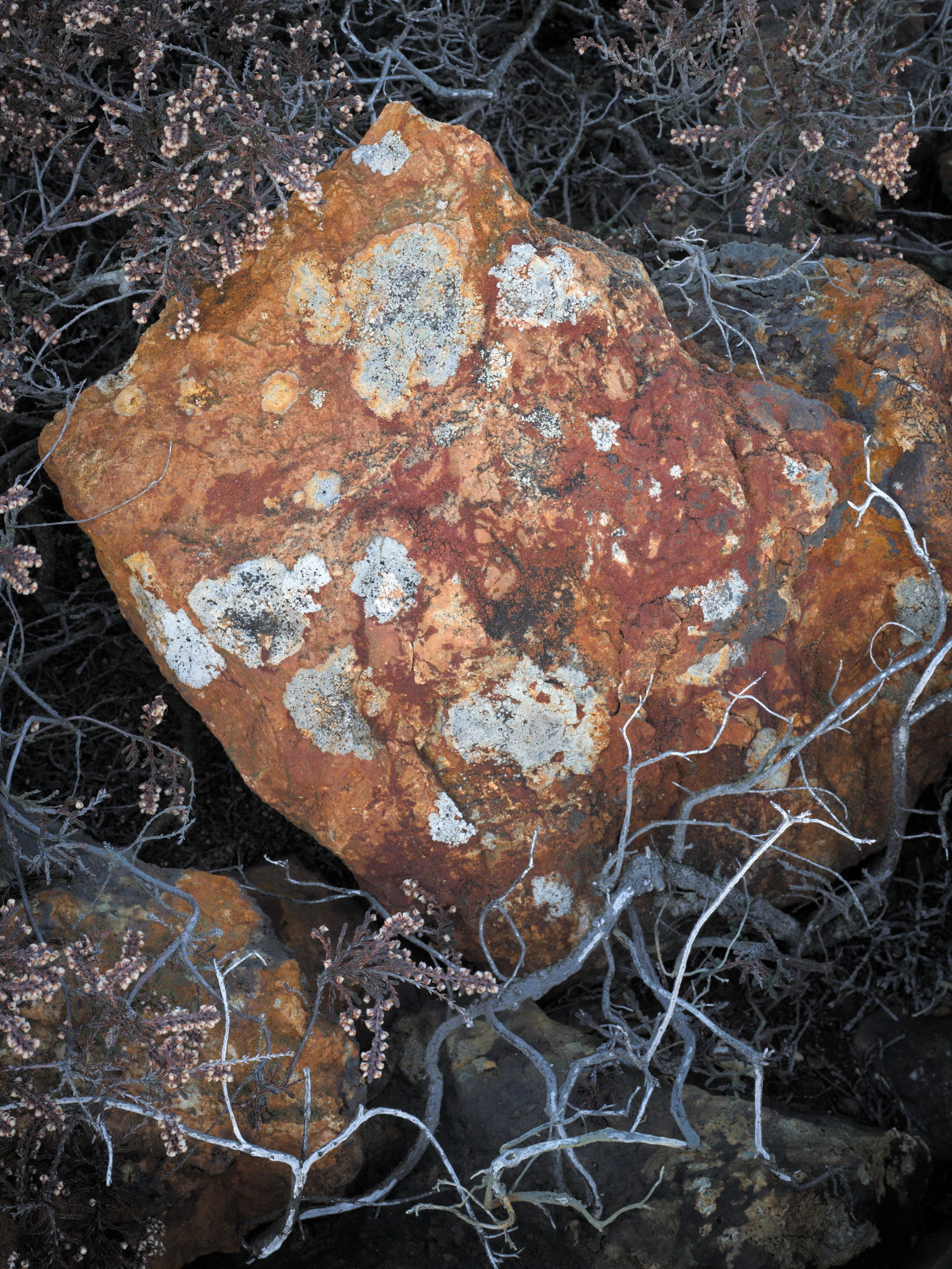 A red rock patched with pale lichen, Parys Mountain
