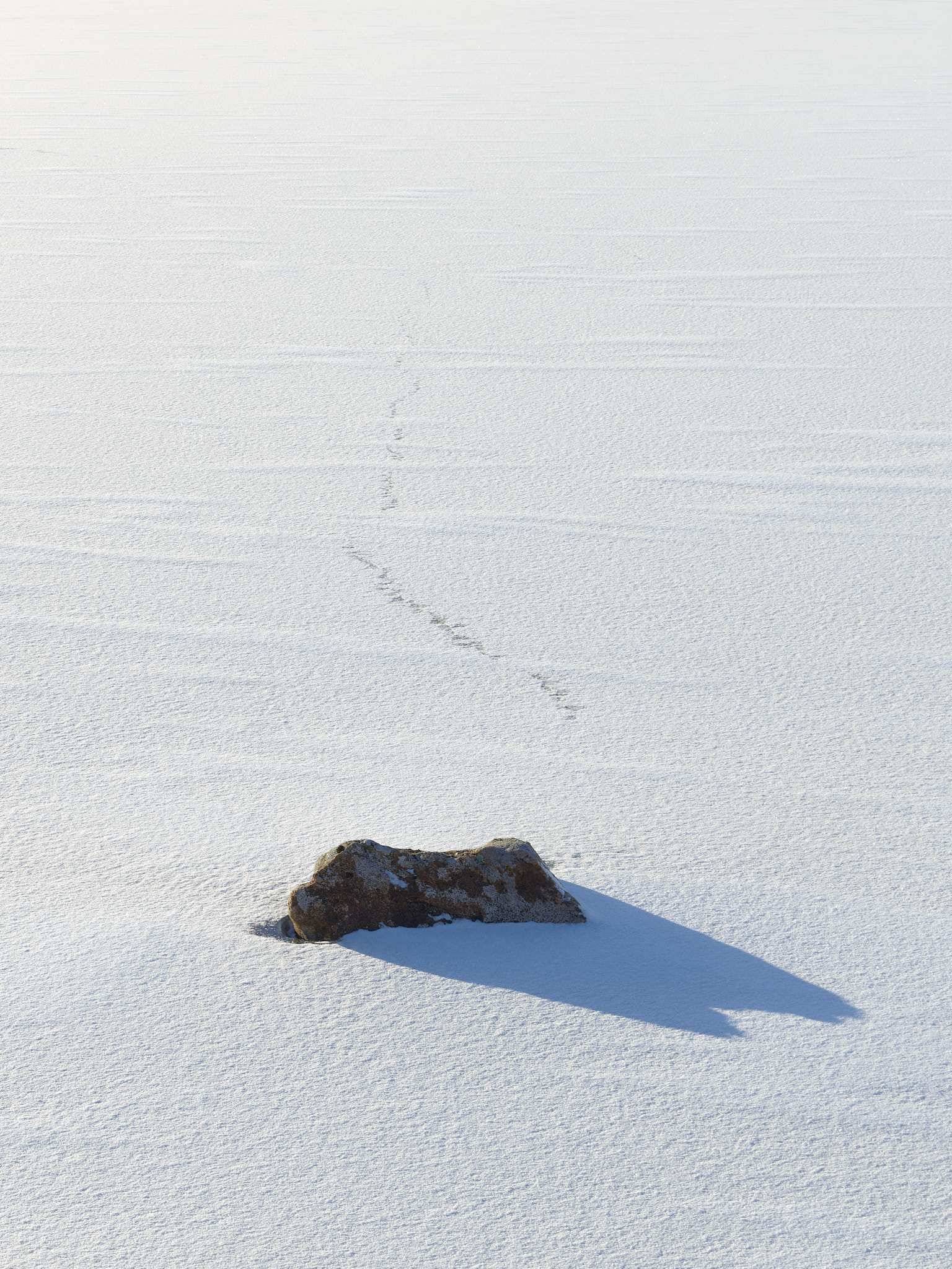 Snow-covered ice with bird tracks leading to a rock