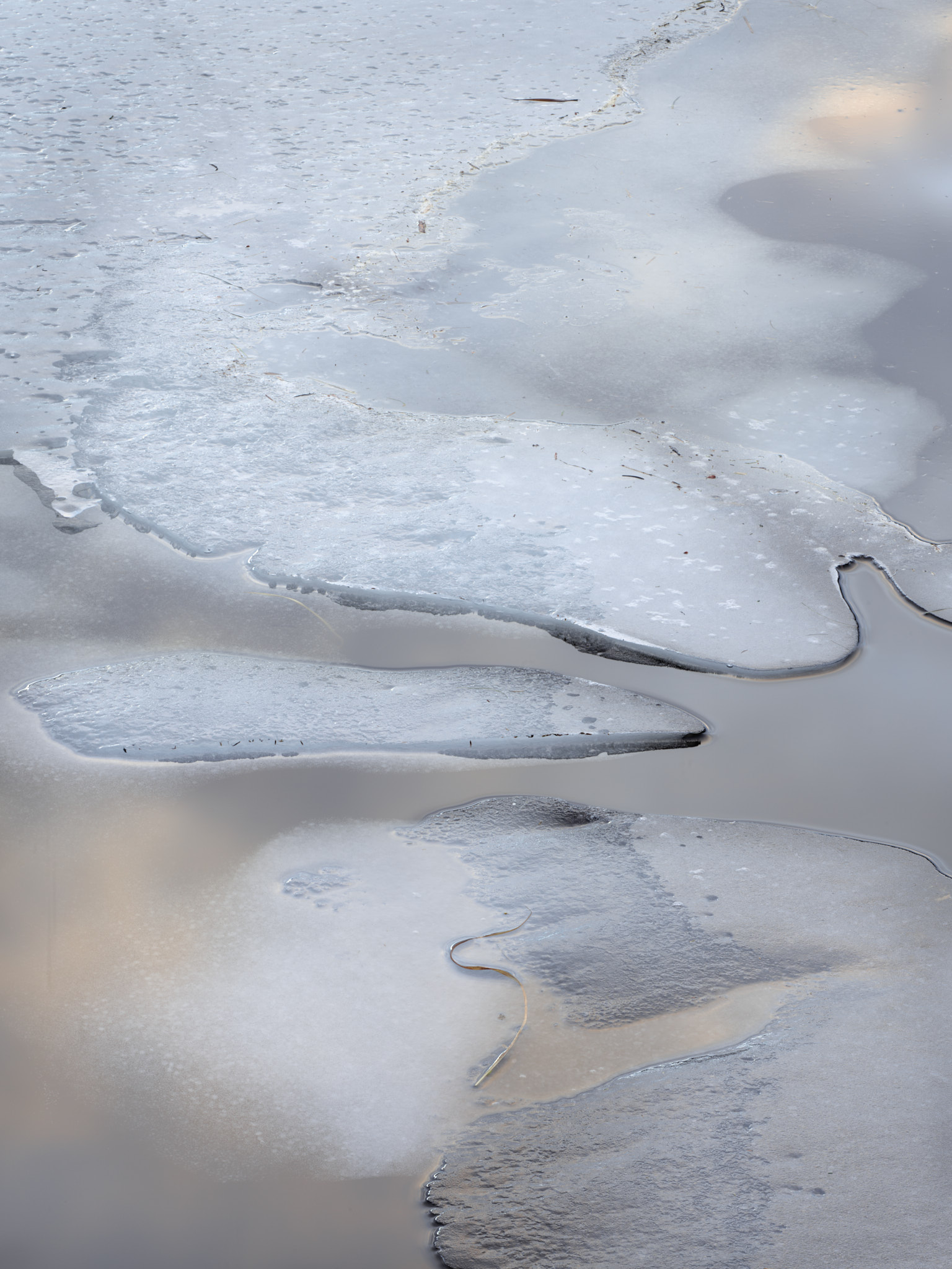 Melting ice reflecting dawn-lit clouds in a lochan in Assynt