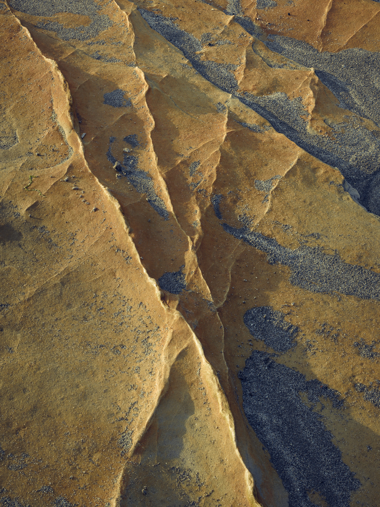 Thin blades of pale sandstone standing along a shore platform, dark volcanic sand lodged in the grooves between them, lit by low evening sun