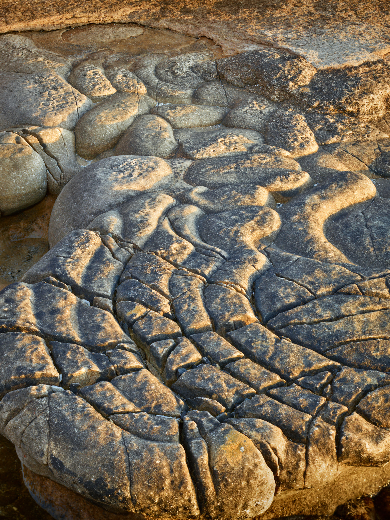 A lobed sandstone concretion cracked into a curved grid of blocks, its pitted upper lobes catching the last low light