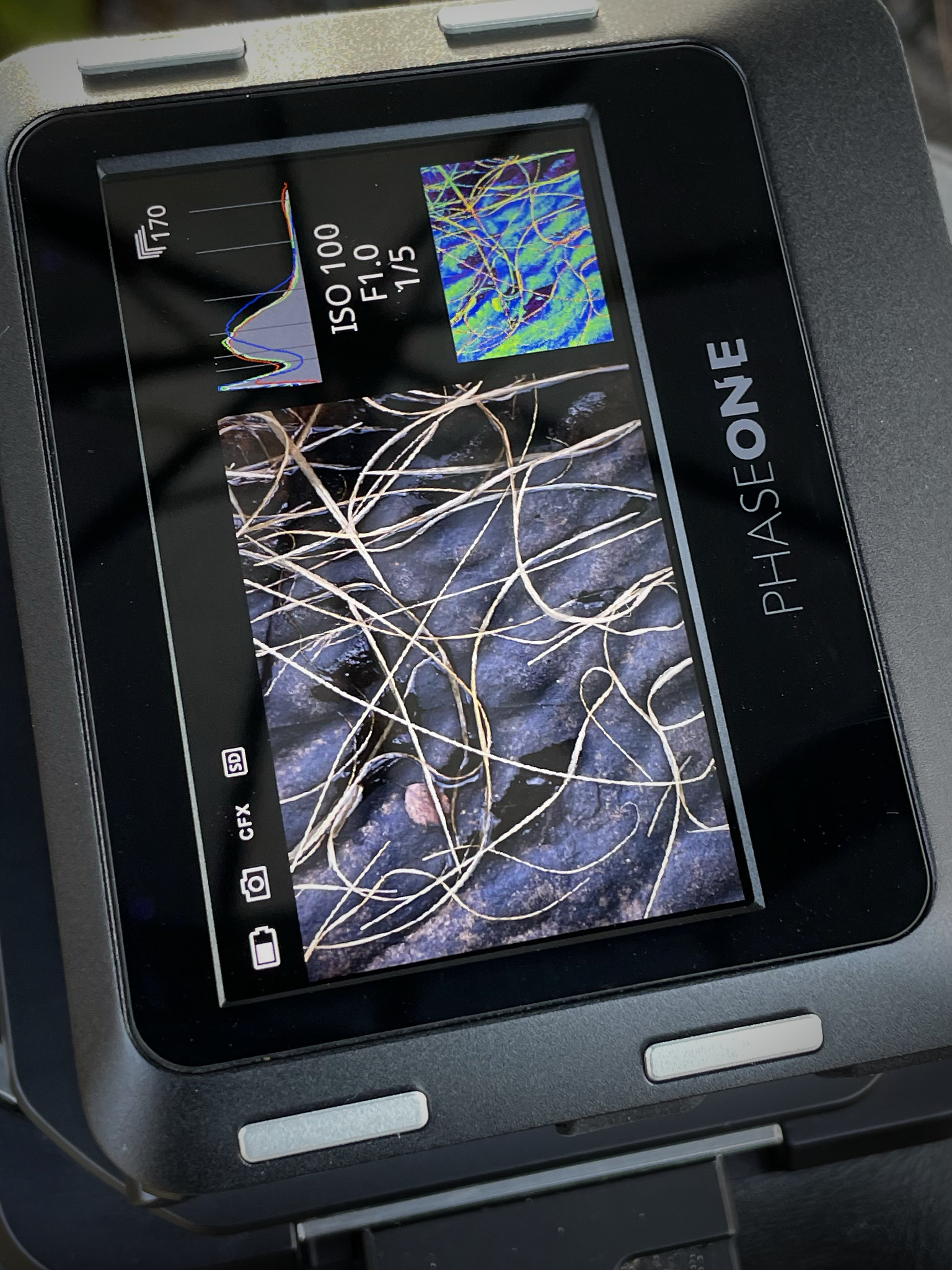 The preview screen for an image on an IQ4 back