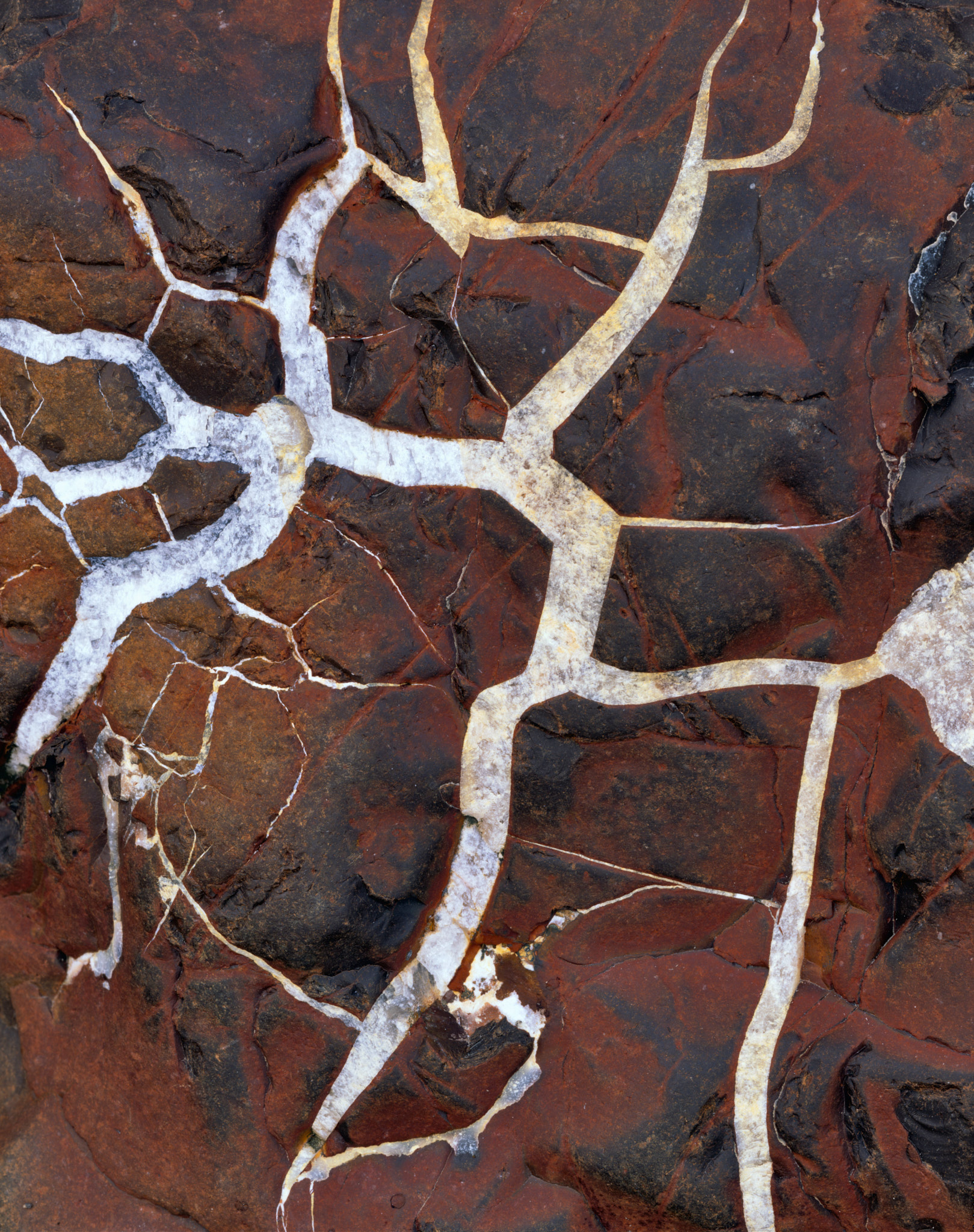 Septarian Nodule detail