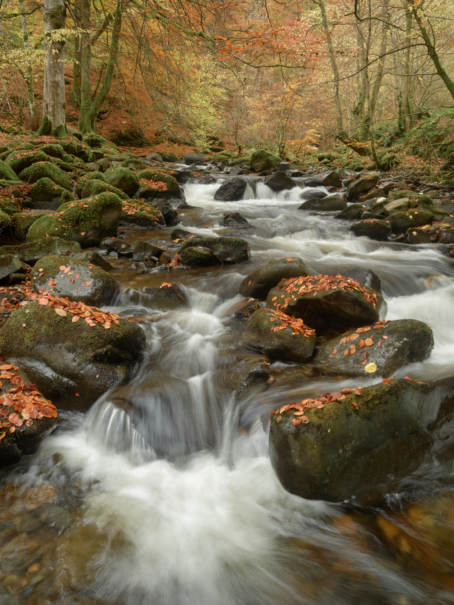 Image of river that is in focus front to back due to camera movements